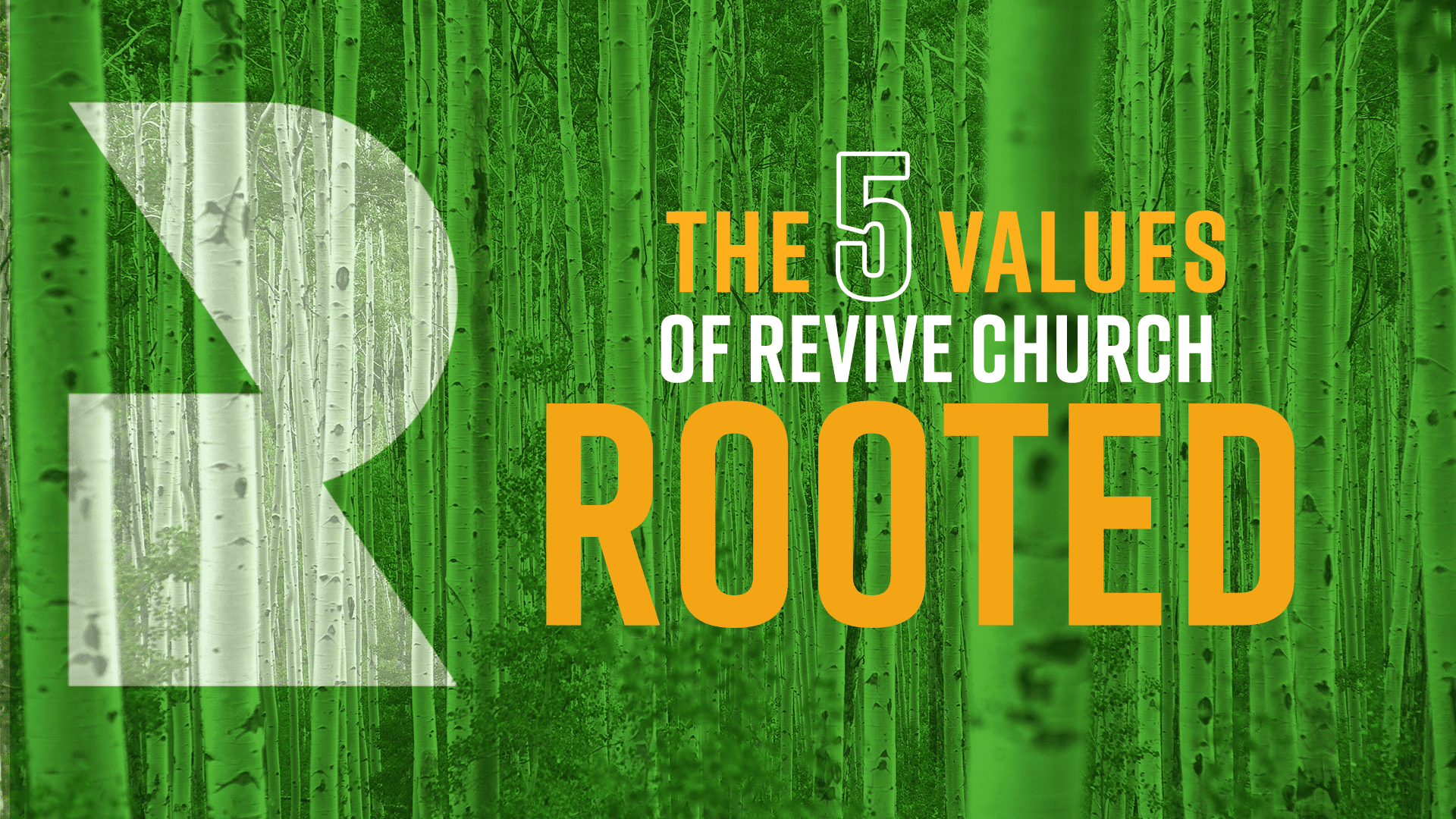 Revive Church Arvada 5 Values class